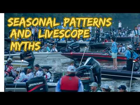 LIVESCOPE Kids Don't Know SEASONAL PATTERNS