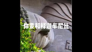 201811 你要和释迦牟尼比24046