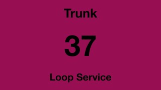 Celebrity [SBS Transit] Trunk Bus Service 37 Hyperlapse Wealth