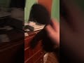 Jack gets tired of playing the PS5 ￼