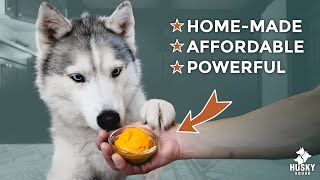 How to Make GOLDEN PASTE Supplement for Dogs | DOGGO LIFE