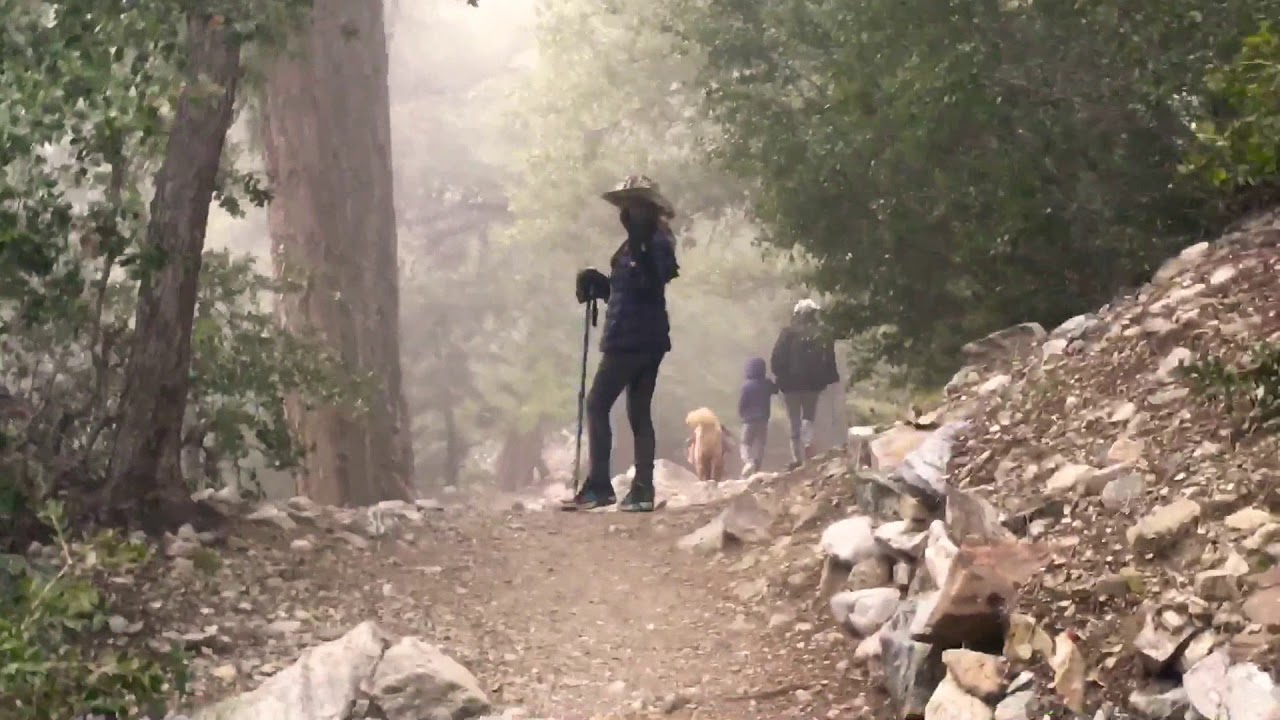 Ice House Canyon Trail#2 - 4/5/19