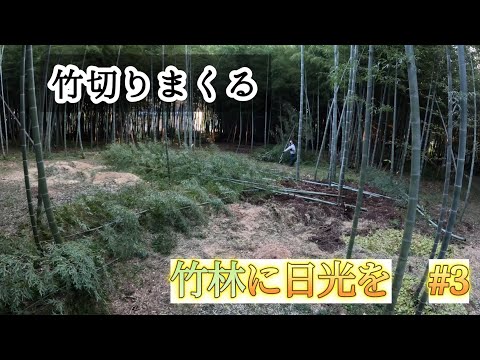 老者竹林 竹林住職 - YouTube