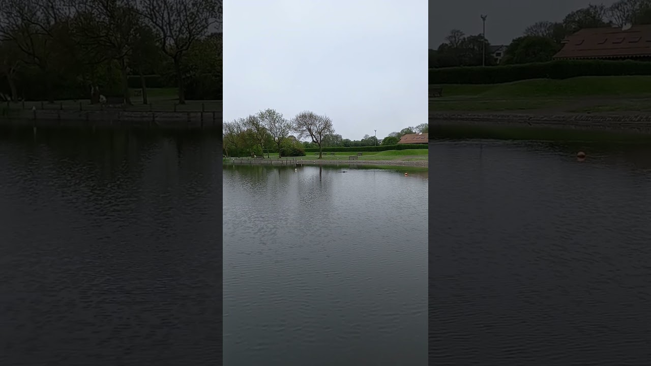 27 Mhz Radiometrix RX and TX  modules with 6 channel setup in my E11 model.