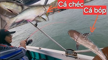 Chuyến câu jig kịch tính, đánh mini jig khấu đuôi con cá bớp 3kg chạy như tên. Câu cá biển gần bờ.@