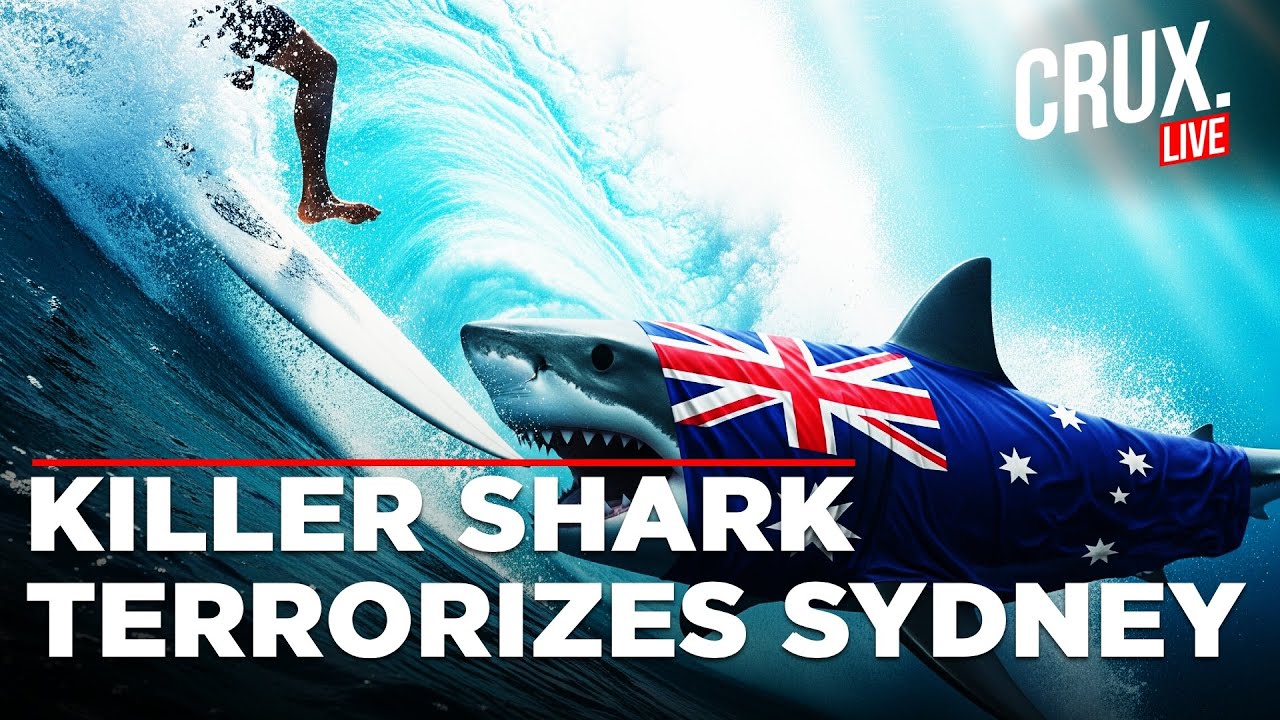 LIVE | Surfer Killed In Shark Attack Off Sydney’s Dee Why Beach | Australia | New South Wales | Jaws