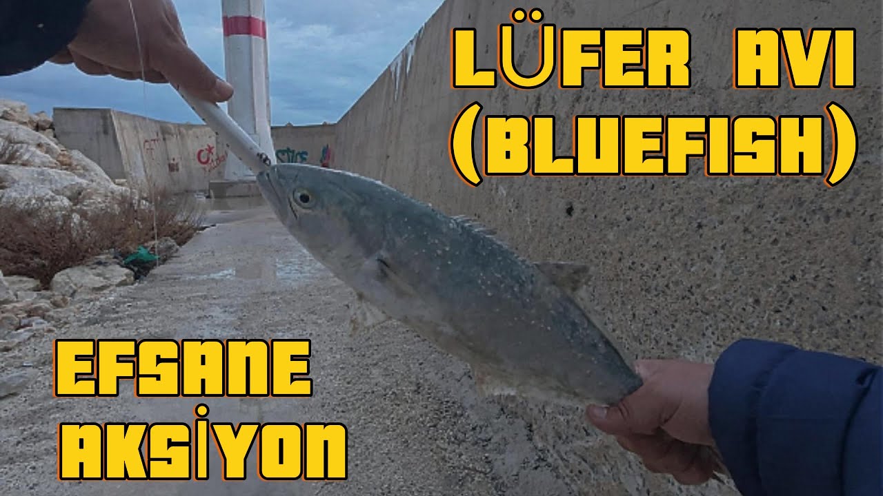 Spin ile Atçek Lüfer Avım!!!