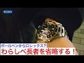 ボールペンからロレックス!わらしべ長者を省略する!