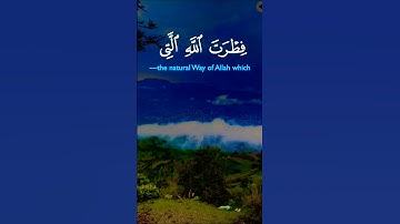 تلاوة خاشعة بصوت يريح الأعصاب #elmulquranعلم #اكسبلور #تلاوة #trend #المصحف #aslam #لايك #duet