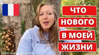 ПОЛУЧИЛА ДИПЛОМ B1• ПРОВАЛИЛА ОБУЧЕНИЕ • НАШЛА РАБОТУ • Блог мадам Блошкина