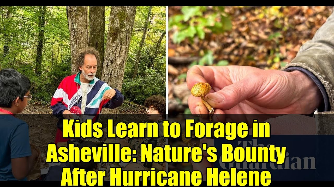 Дети учатся добывать пропитание в Эшвилле: щедрость природы после урагана «Элен»