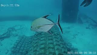 BOV Bahamas