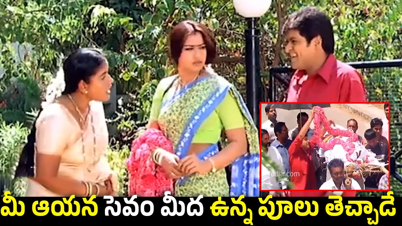 Ali Back To Back Madness Comedy Scenes | Ali Wife Super Hit Comedy Scene | #comedy