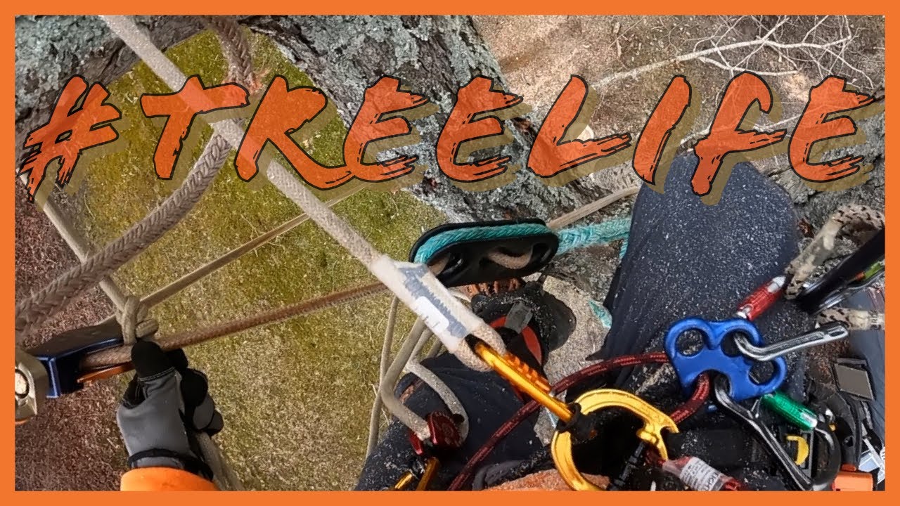 shredding the shed white oak removal SafeBloc Rigging Notch Fusion Tether