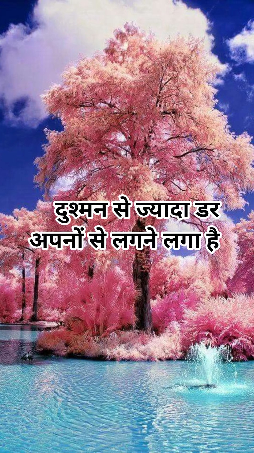 यूट्यूब चैनल - ShareChat