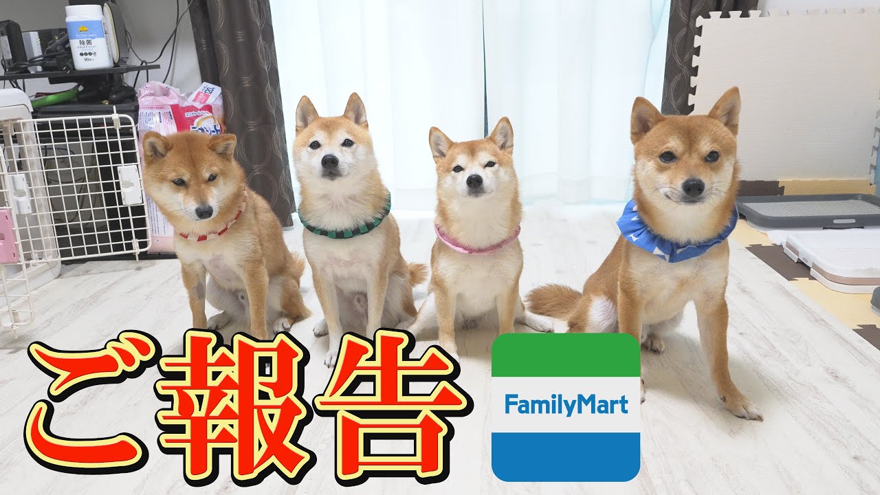 maxresdefault.jpg