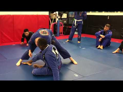 Adult Class Drilling Spider Guard Passing