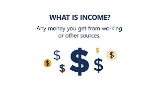 What is Income?