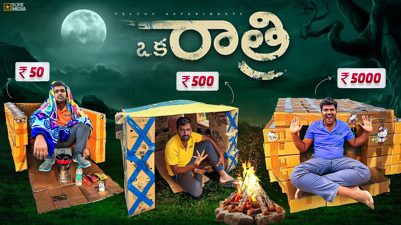 Low To High Budgets Cardboard Boxes Houses Overnight Survival Challenge 🔥🔥 Telugu Experiments