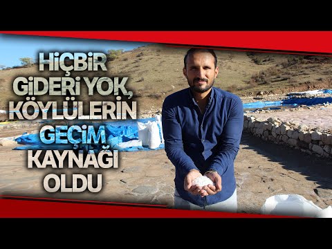 Geleneksel Yöntemlerle Üretilen Kaya Tuzu Köylülerin Geçim Kaynağı Oldu