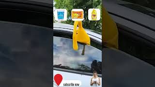 You Laugh You Lose 😅 Best Funny Cats and Dogs Videos 😹🐶 [funny73]