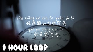 1 HOUR LOOP/一小时循环/1시간반복/【骗-张碧晨】PIAN-ZHANG BI CHEN /Pinyin Lyrics, 拼音歌词, 병음가사