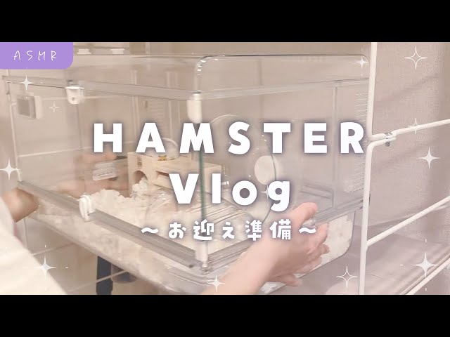 【ASMR Vlog📸】独り立ち6か月。念願のハムスターお迎え準備…🐹♡【#無糖しお #ハムスター 】