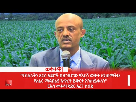 ቪዲዮ: Kumquat የመኸር ወቅት፡ የኩምኩትስ ምርት መቼ እና እንዴት እንደሚሰበሰብ