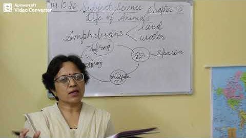 Science Class 4 Chapter 8 Part 4