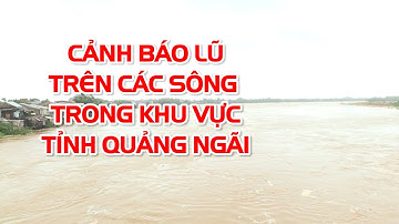 Cảnh báo lũ trên các sông trong khu vực tỉnh Quảng Ngãi | PTQ