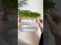 3D printed hydroponic tray 🌱🪴 #3dprinting #microgreens