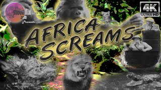 AFRICA SCREAMS (1943) | Black & White | 4K Ultra HD | Bud Abbott | Lou Castillo | Classic Comedy