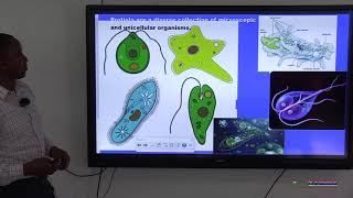 GRADE 7, GENERAL SCIENCE : SCIENCE SKILLS