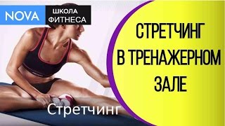 Стретчинг. Растяжка при занятиях в тренажерке. Стретчинг в тренажерном зале. NOVA Стретчинг. Растяжка при занятиях в тренажерке. Стретчинг в тренажерном зале. NOVA