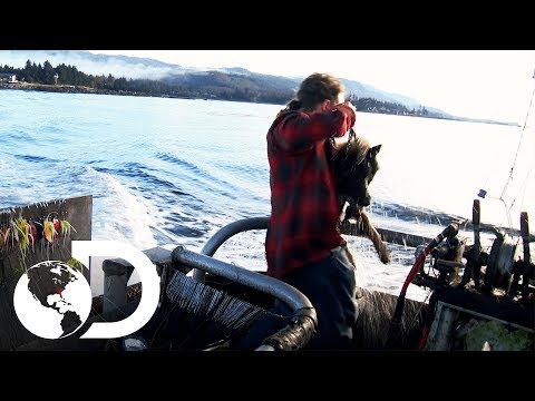 ¡El Perro Saltó Al Agua! | Alaska: Hombres Primitivos | Discovery Latinoamérica