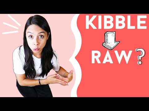 Video: La transición de cambiar a un perro de Kibble a Raw