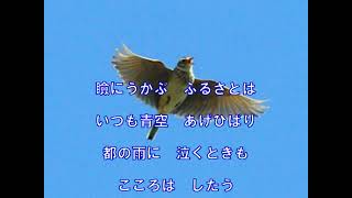 心のふるさと（関種子）～ZENZI - YouTube
