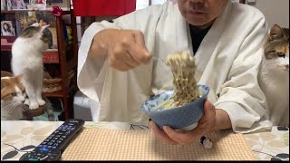 納豆をまぜまぜする住職を冷ややかな目で見る猫。