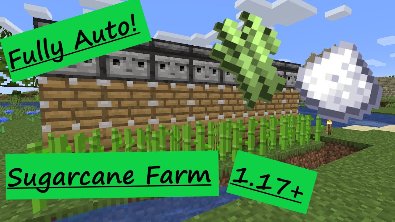 SIMPLE 1.17 FAST AUTOMATIC SUGARCANE FARM TUTORIAL in Minecraft - YouTube