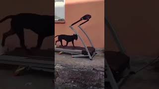 Uyuma Kalk Tiktokmurathancgn Şfetbeniöneçıkar シ Şfetteyiz