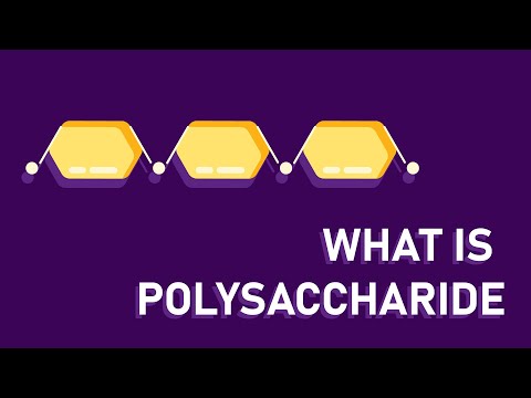 Video: Când se formează o polizaharidă, ce se eliberează?