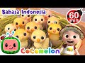 Belajar Angka dengan Anak Ayam🐣🐤🐥 | CoComelon Bahasa Indonesia - Lagu Anak Anak | Nursery Rhymes