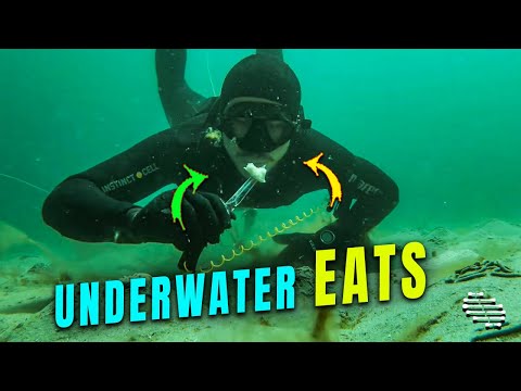 Free Diver Eating Scallops