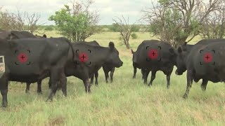 Texas rancher develops app to track cattle herd screenshot 2