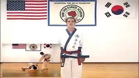 The Art of Tang Soo Do Volume 2