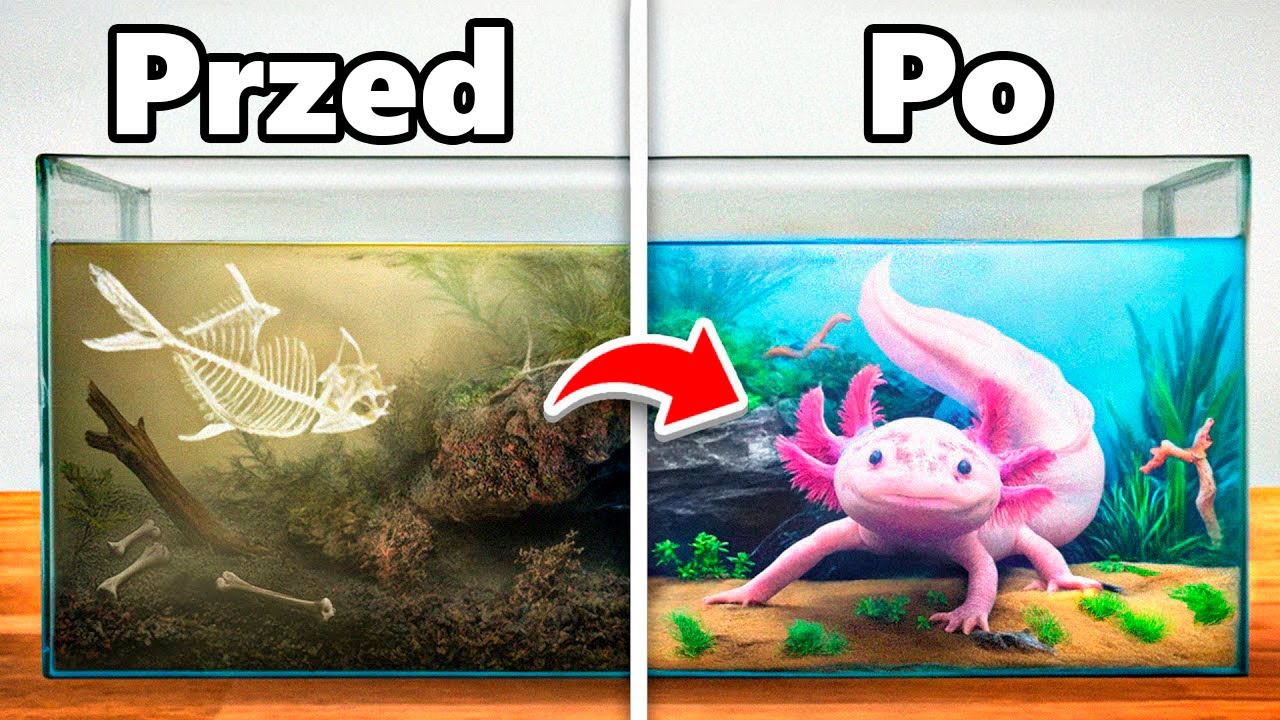 Przekształciłem Porzucony Dom Aksolotla!