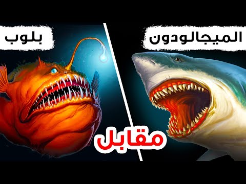 الميجالودون حقيقة أم خيال استكشاف حقيقة القرش القديم