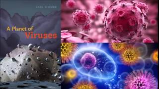 A Planet of Viruses - Carl Zimmer
