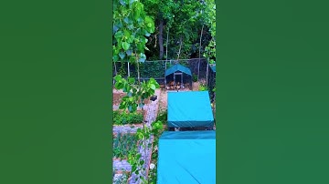 Amazing Integrated Farm Design