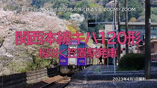 桜咲く関西本線笠置駅を発車するキハ120形気動車を撮影！